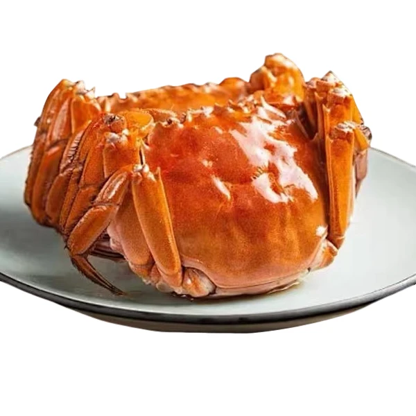 盘锦河蟹母蟹5只（1.6-1.9两/只）公蟹5只（2.3-2.6两/只）包鲜不包活