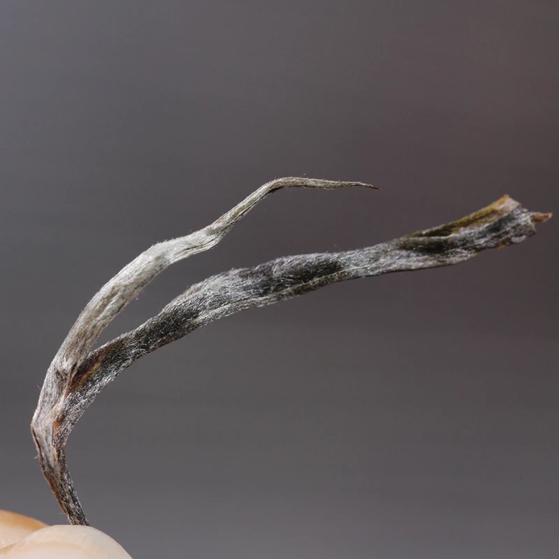 【预售】22年懂过散茶+蚂蟥箐散茶+一袋散茶