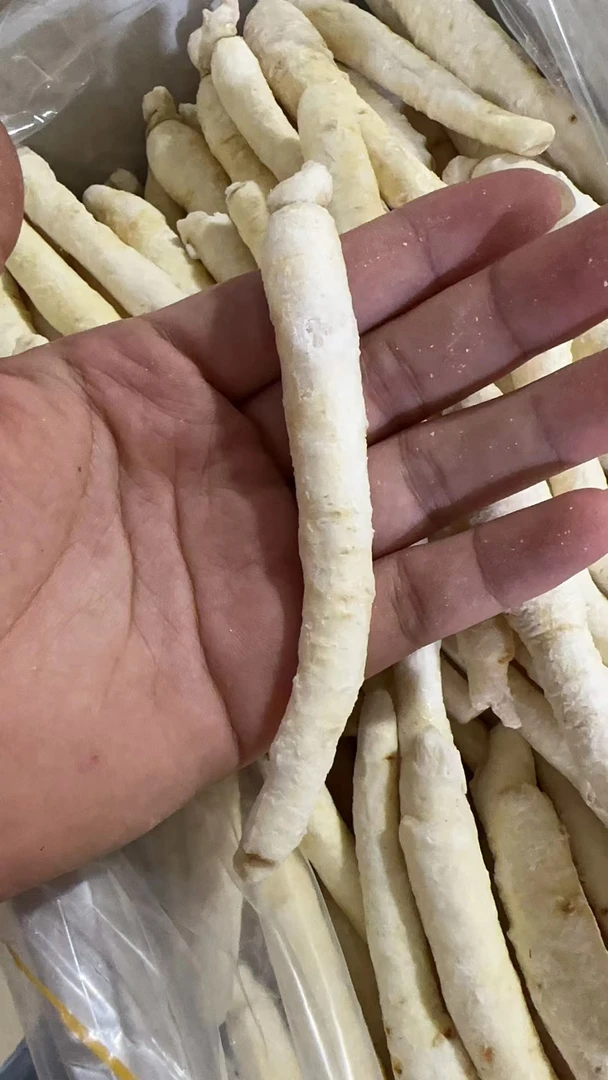 【益娜娜妮姑姑】白糖参儿童煲汤炖汤营养煮水妈妈好帮手