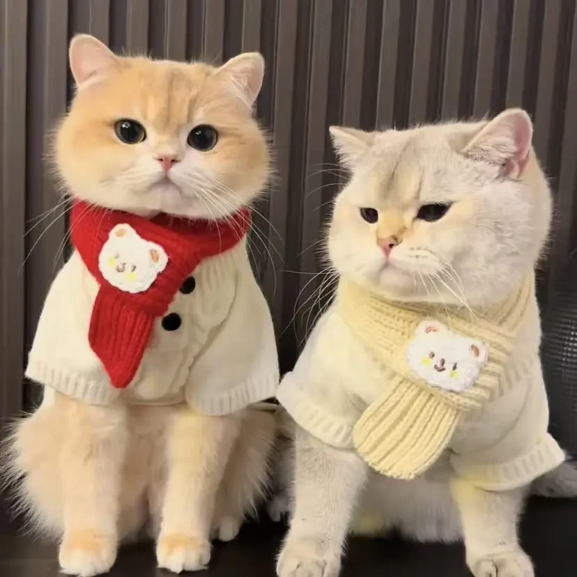 猫咪围巾新年春节宠物装扮喜庆围脖红色保暖毛线针织狗狗饰品tfj
