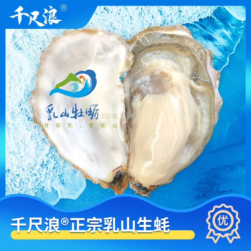 【大火锅专属】千尺浪正宗乳山生蚝 净重5斤刺身级 免清洗 鲜活牡蛎