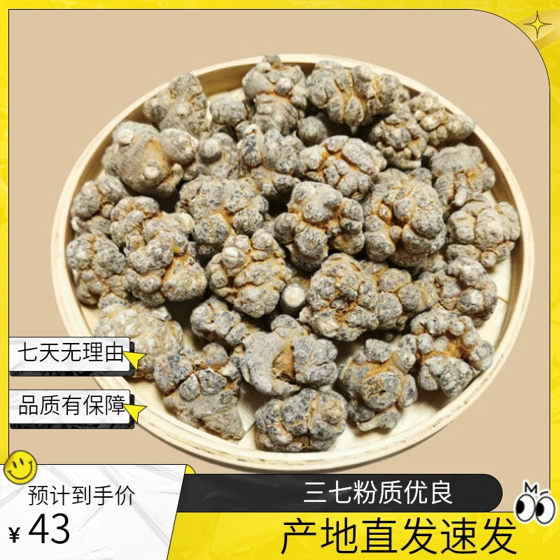 三七田七三七粉滑头无剪口云南文山精品三七春三七（可整个发货）