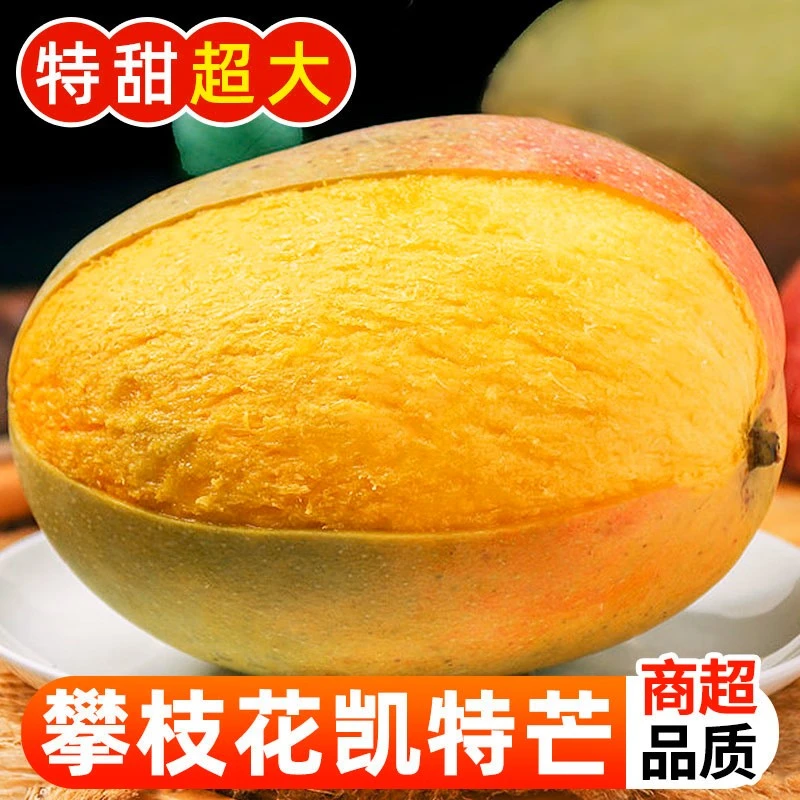 【现摘现发】攀枝花凯特芒果 正宗青皮芒 爆甜多汁源头直采新鲜水果