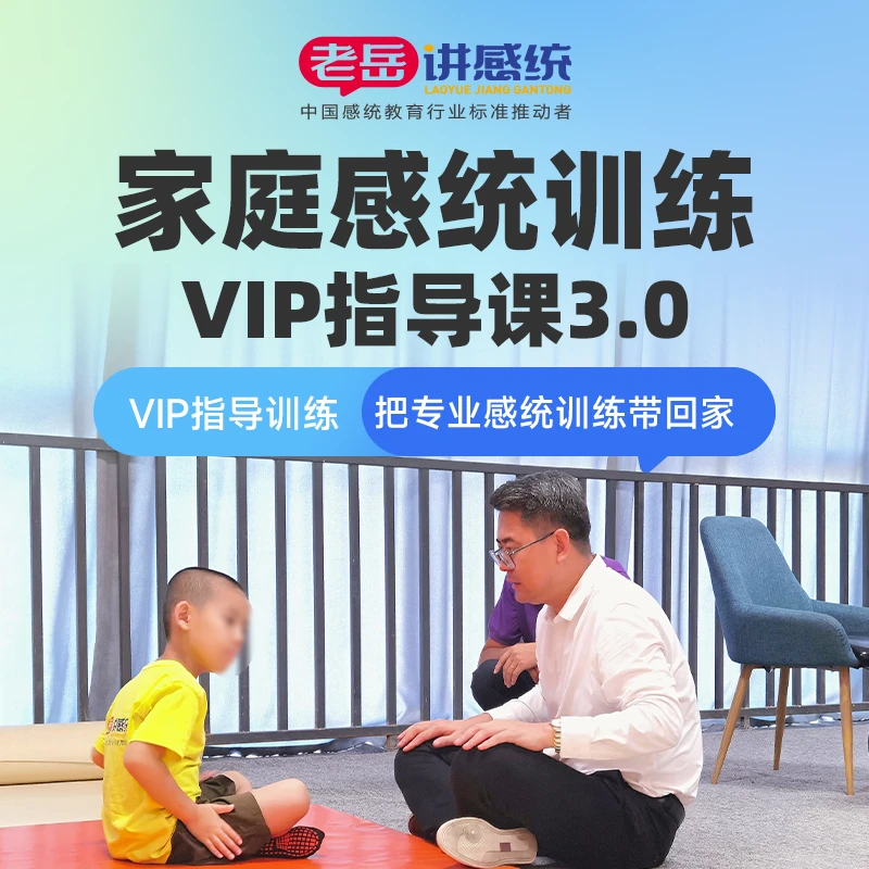 家庭感统训练VIP指导课程把专业感统训练带回家连线上课配套教具