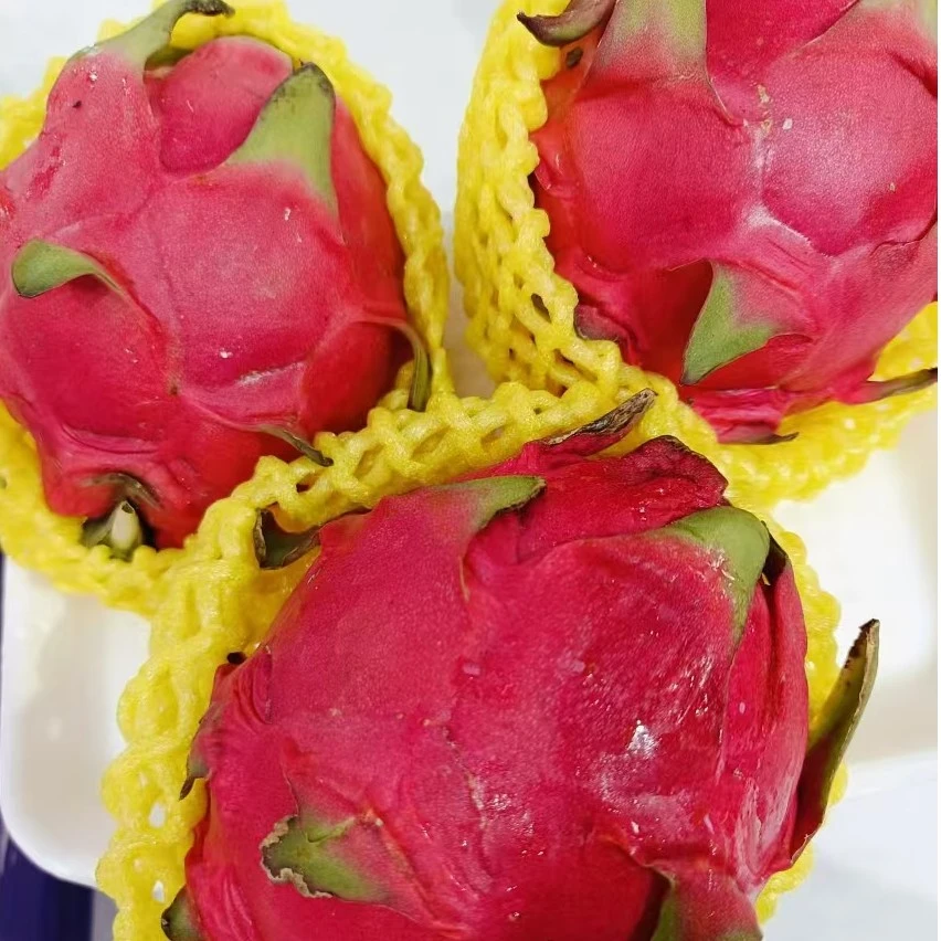 50蜜宝【三个9.9元】