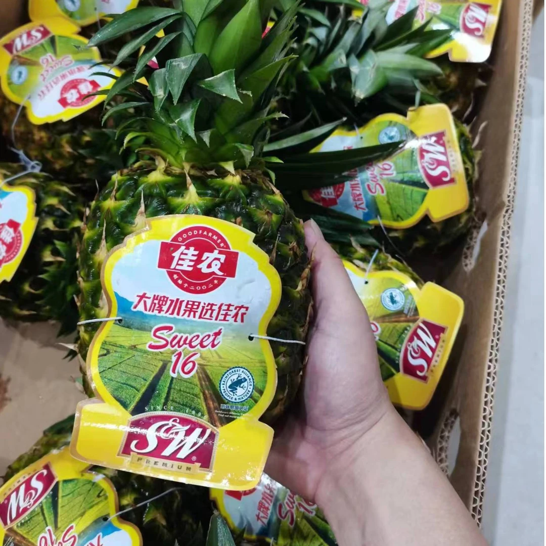 佳农凤梨一个【要切下单请备注】