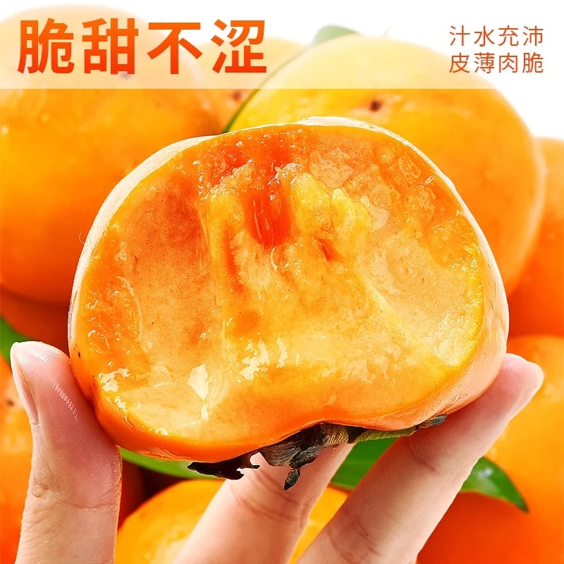 【进华专属】桂林恭城脆柿子新鲜水果现摘脆皮甜柿子硬柿子脆甜可口