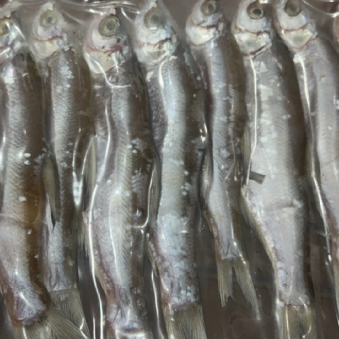 【韩大厨】湘味湘寻阳干小刁鱼小刀鱼