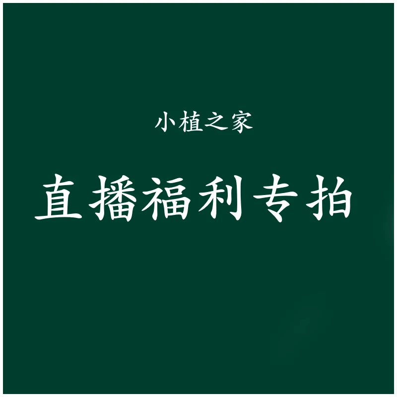 小植之家【一物一拍】福利新品绿植系列