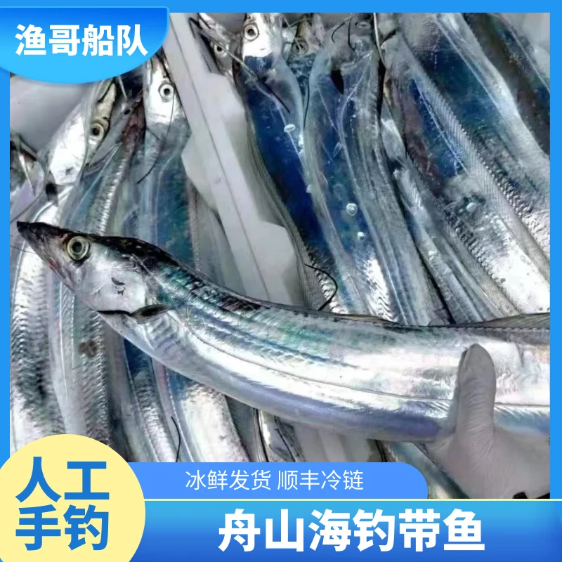 【带鱼刀鱼】舟山甄选冰鲜钓带鱼肉厚鲜嫩肉质严选清蒸新鲜鲜活