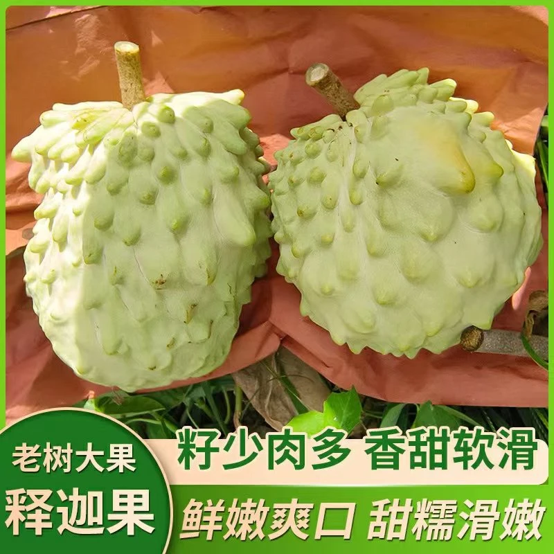 顺丰包邮云南凤梨释迦果新鲜番荔枝佛头果热带孕妇水果5斤整箱