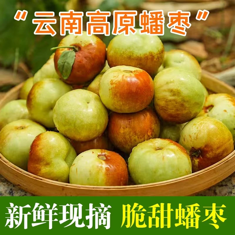 【顺丰京东】云南高原甜脆蟠枣蜜枣青枣现摘现发1斤2斤4斤整箱批发