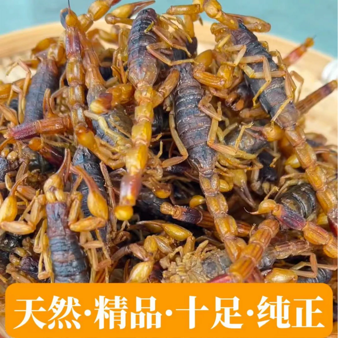 五香麻辣蝎子新鲜现做即食招待聚会下酒硬菜特产