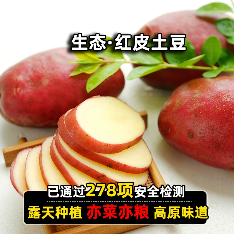 鑫选云南生态种植红皮黄土豆5斤 新鲜蔬菜食用农产品【顺丰直发】