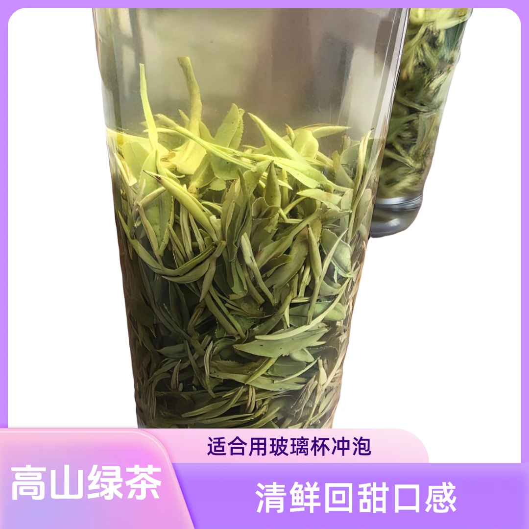 河南信阳毛尖商城高山绿茶100g2025年明前茶新茶信阳毛尖新茶