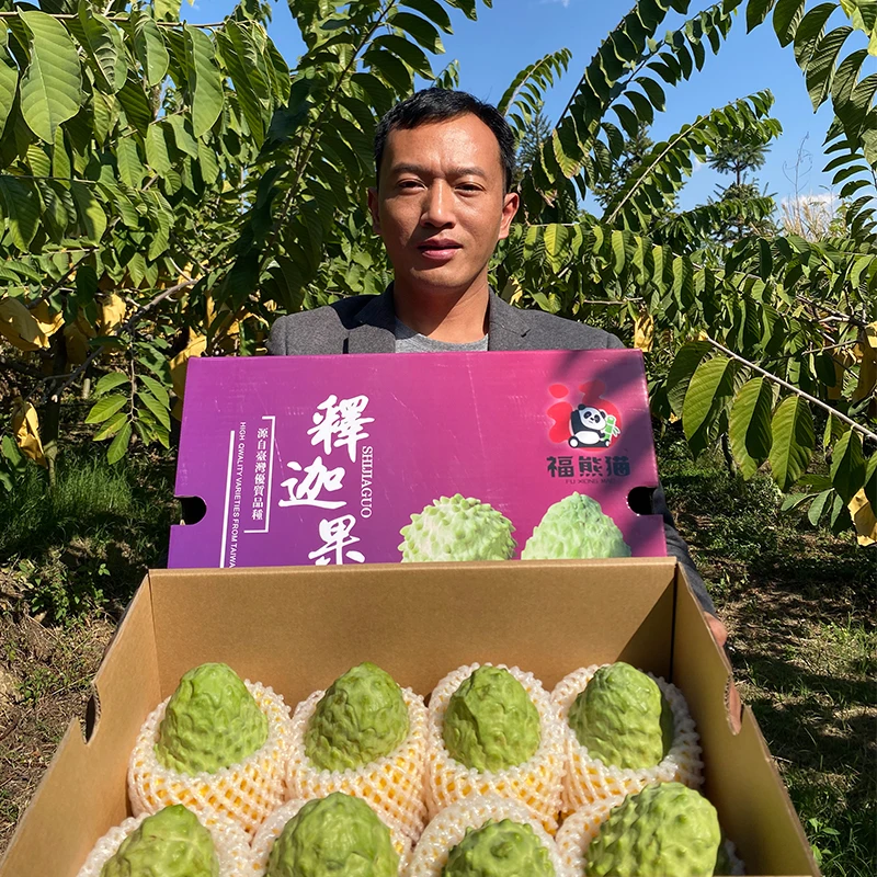 顺丰京东云南凤梨释迦礼盒装 花斑大果8枚 现摘 (5.6斤起)甜