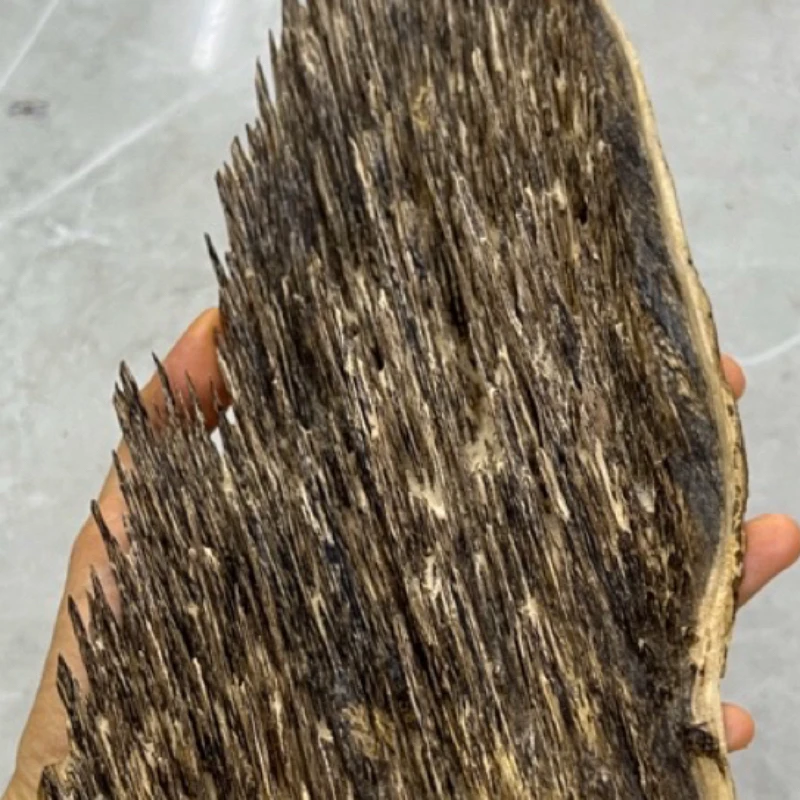 海南天然沉香尖峰岭吊口好味道