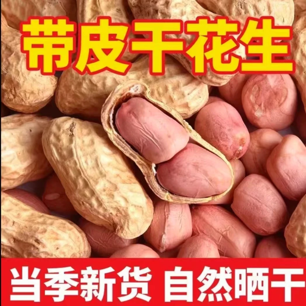 2024 年山东新晒干花生自种带壳花生可做种子1斤3斤5斤装