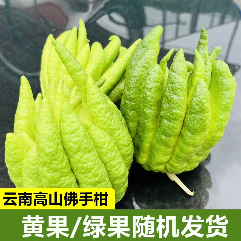 【 专属】云南佛手柑闻香鲜花客厅上档次随机发货微瑕果青黄果