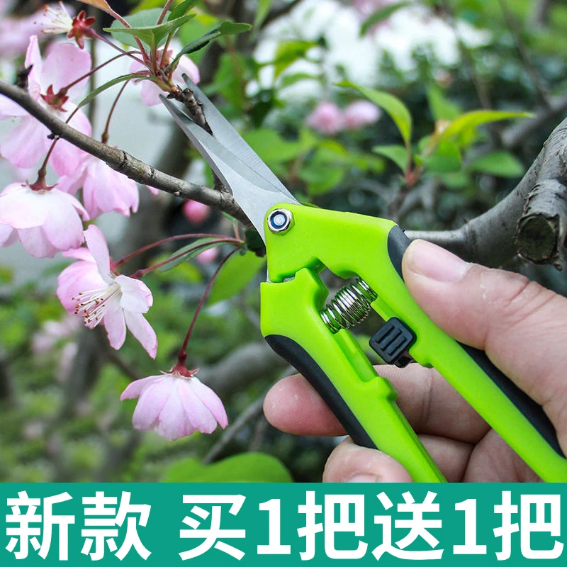 园艺剪修枝剪摘果剪葡萄剪树枝专用剪刀修剪果树园林剪花艺修花剪