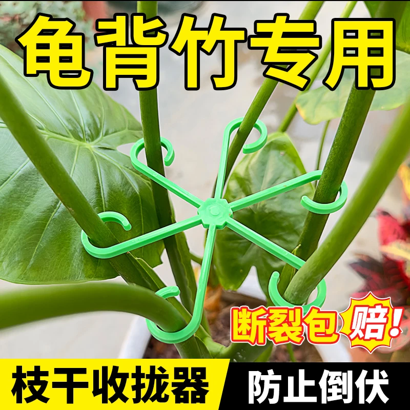 龟背竹固定器支撑防倒伏春雨支架枝干固定花盆架园艺花卉海芋绿植