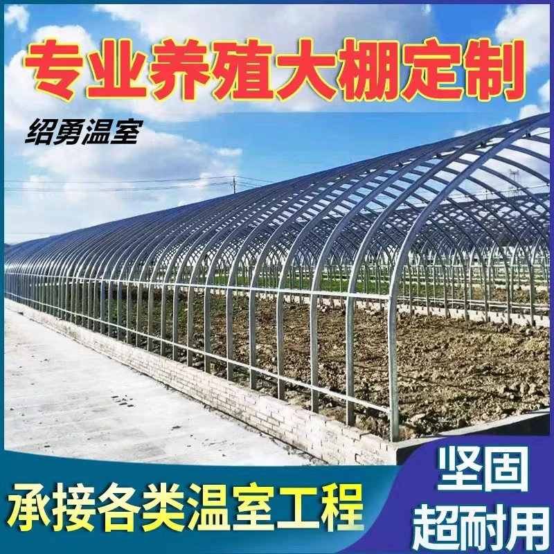 绍勇温室热镀锌大棚蔬菜大棚骨架椭圆管养殖猪牛羊钢架大棚厂家