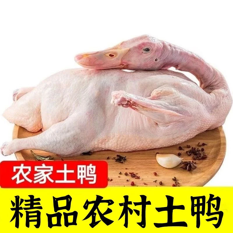 农村散养土鸭新鲜鸭肉五谷杂粮喂养自然生长溜达长大顺丰包邮