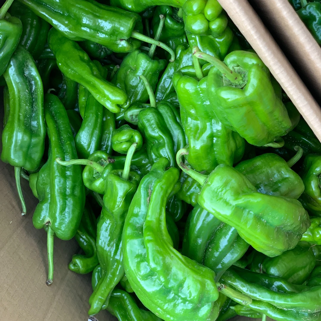 优鲜青椒400g±50g