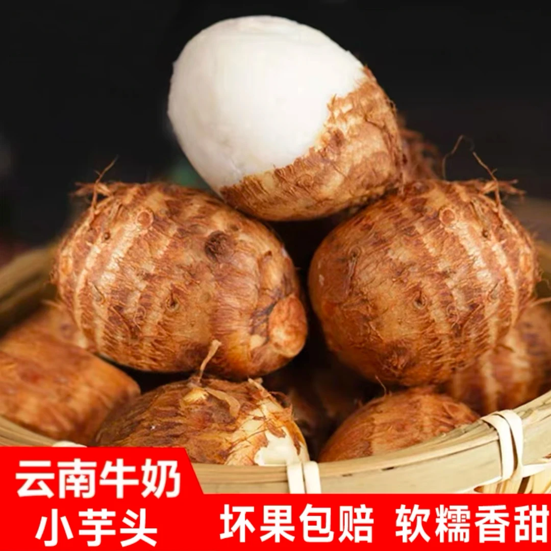 正宗云南牛奶小芋头新鲜芋艿农家自种软糯香芋毛芋头白芽现挖3斤