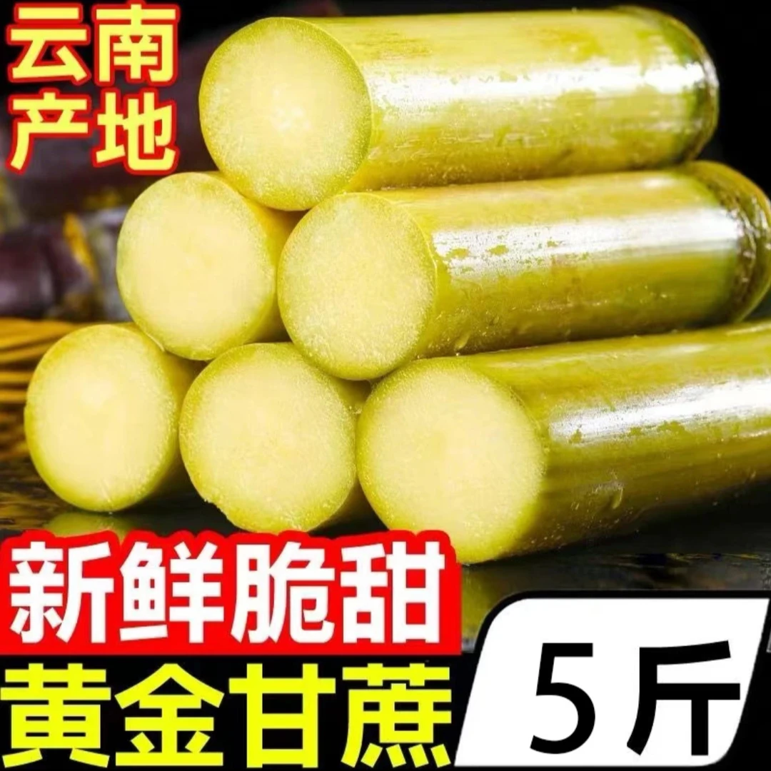 黄金甘蔗5/9斤装（包邮）汁水清甜应季新鲜发货坏果包赔