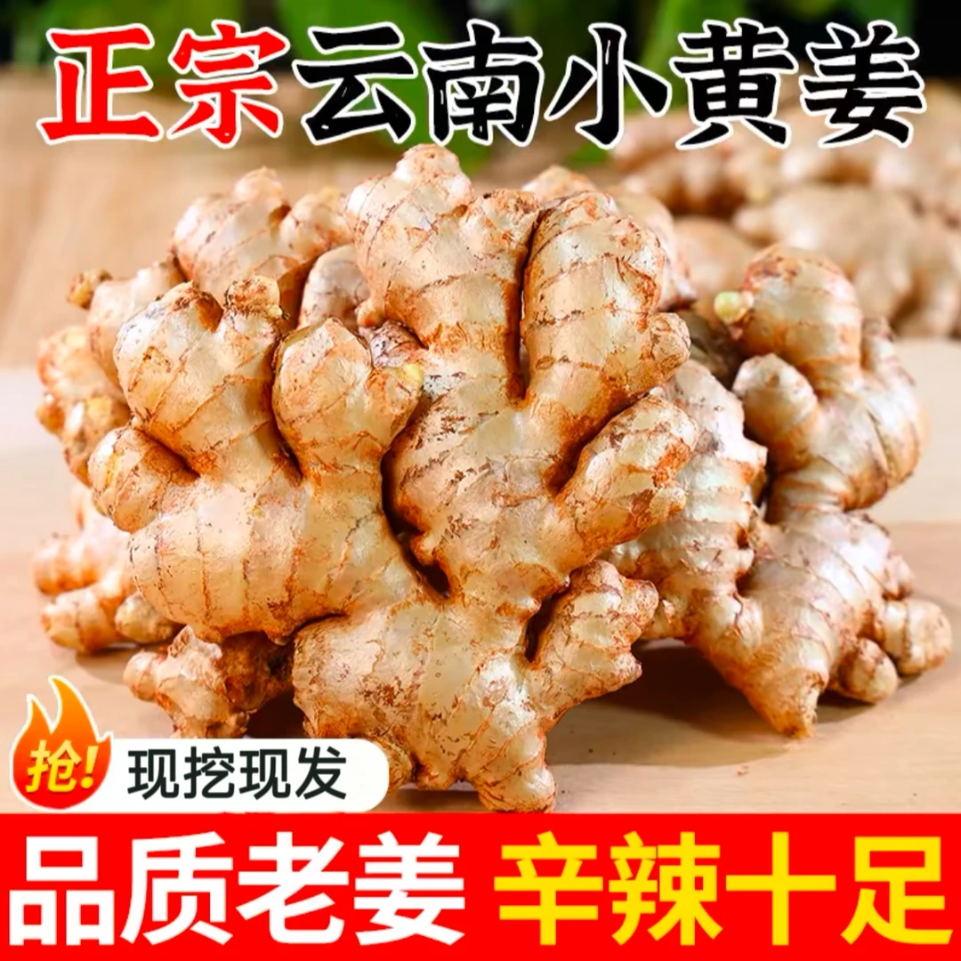 【老姜】云南小黄姜生姜新鲜黄姜土姜现挖子姜嫩姜鲜姜