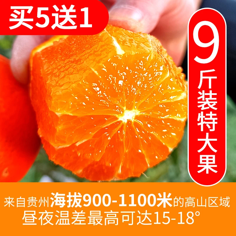 爱媛果冻橙爱媛38号9斤装特大果皮薄肉厚多汁当天下单采摘发货