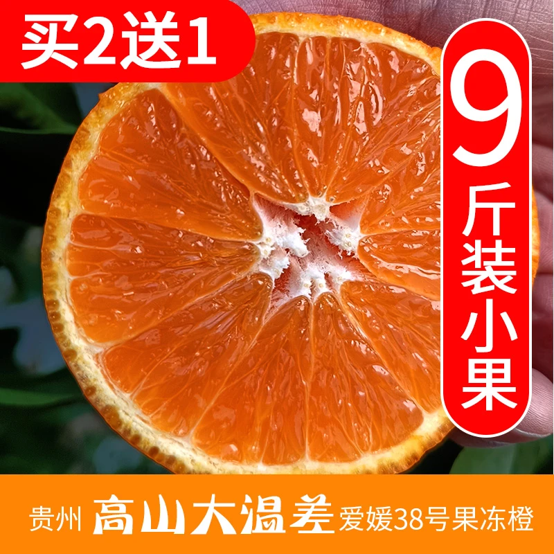 爱媛果冻橙爱媛38号9斤装小果皮薄肉厚多汁肉嫩当天下单采摘发货
