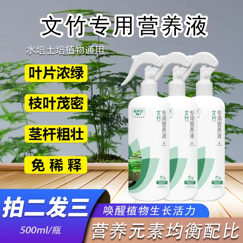 文竹专用营养液叶片浓绿枝叶繁茂水培土培通用四季常绿免稀释直喷