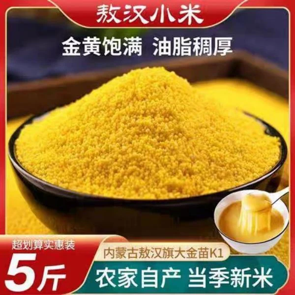 （辉辉专属）2023年敖汉小米金苗K1拧嘴装新米5斤