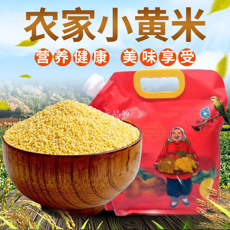 敖汉新产大金苗五斤装包邮