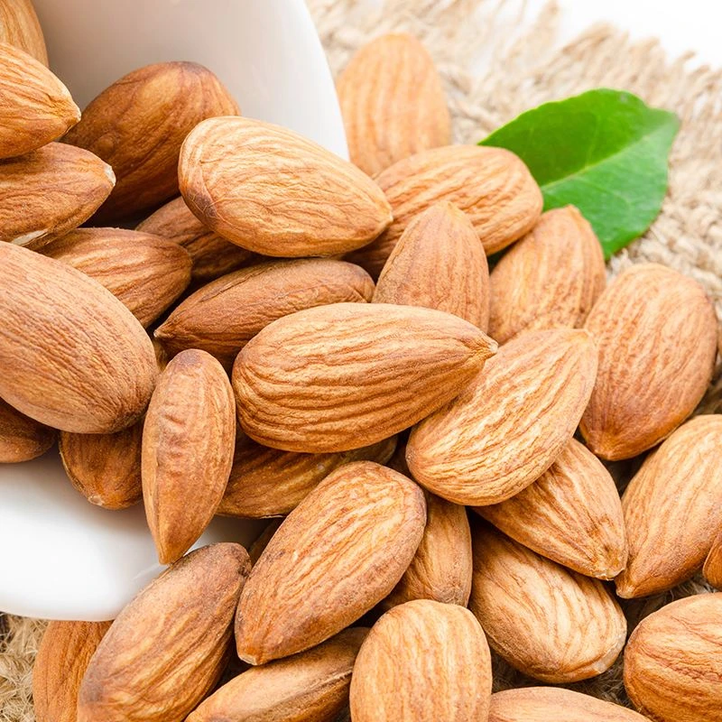 【新疆特产】莎车优质品质原味美味营养颗粒精选严选巴旦木仁新货