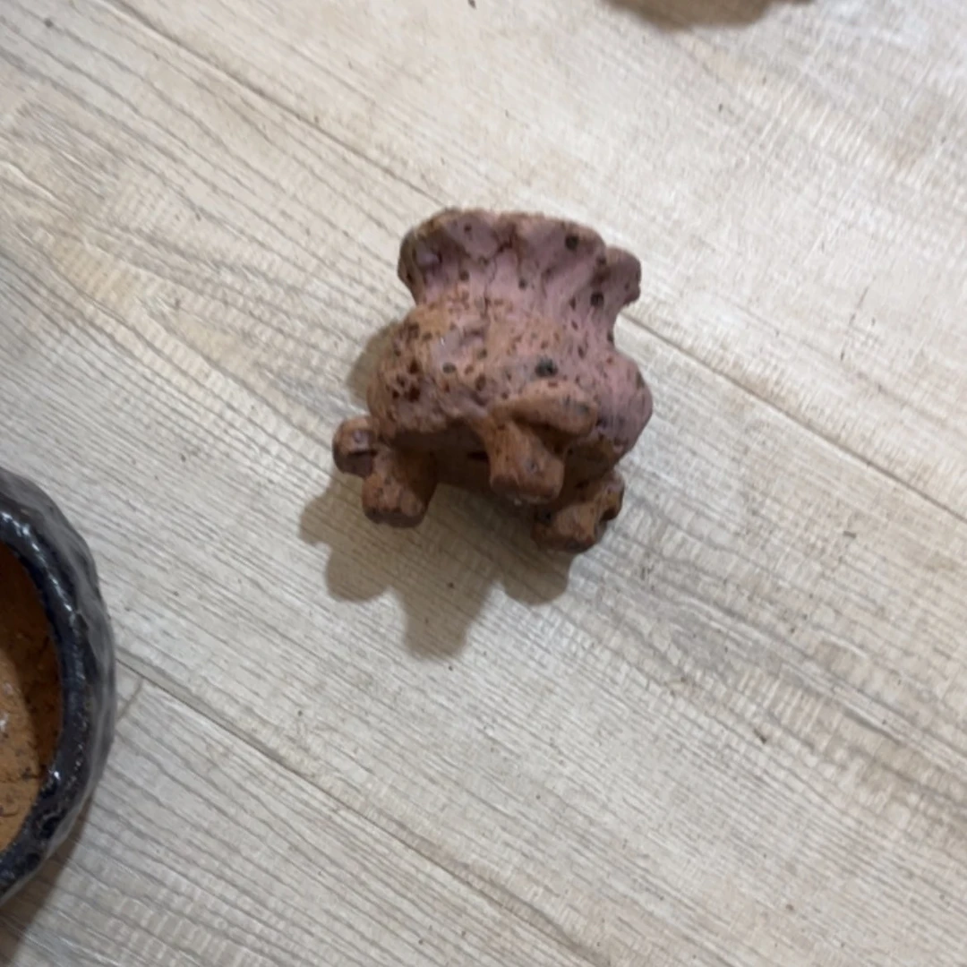 【闪购商品】炻陶泥塑6*