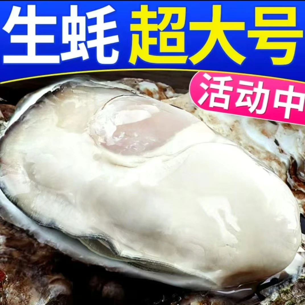 生蚝新鲜肥美好吃  顺丰发货