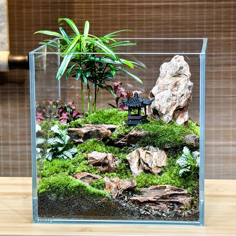【亭台楼阁】新品桌面苔藓微景观创意绿植办公室盆景高级摆件生态瓶