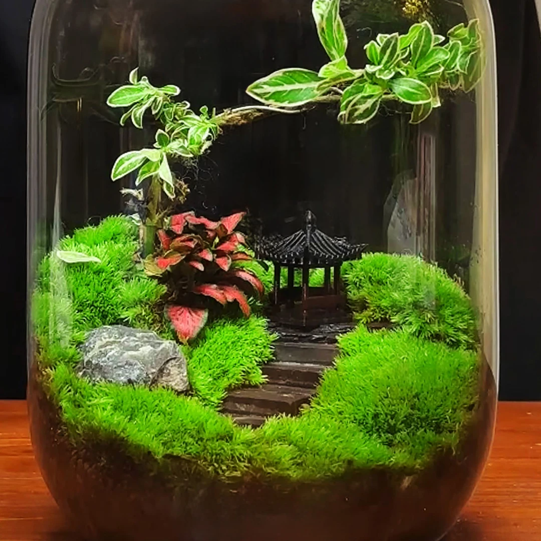 【烟雨江南】苔藓微景观办公室盆栽植物桌面生态绿植造景高级摆件