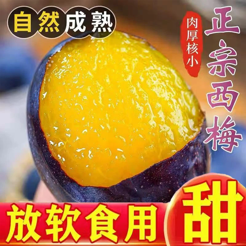 【顺丰包邮】甘肃蓝蜜大西梅新鲜水果香甜多汁【带箱】2斤/5斤装