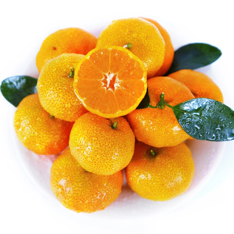 【小时达】砂糖橘 500g