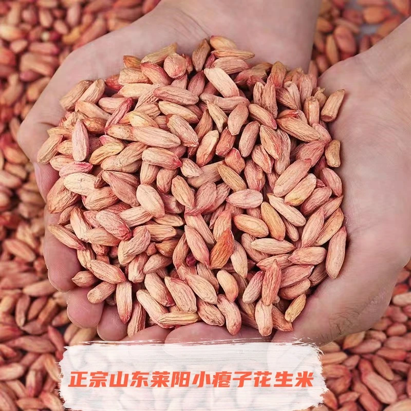 山东瘪花生2025年新货上市小瘪子花生米红皮生花生米甘甜甘甜农家