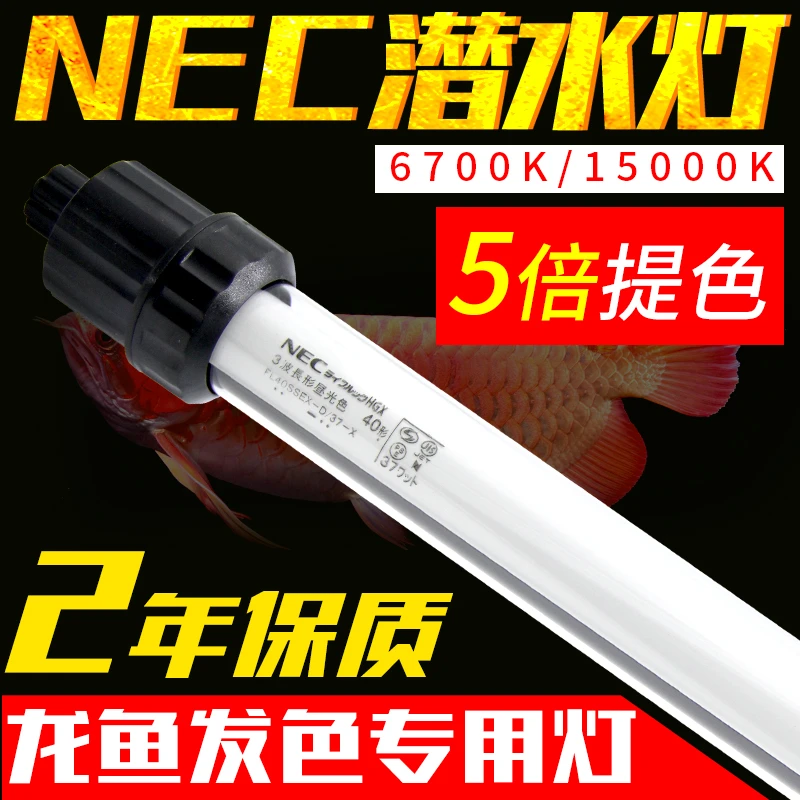 nec潜水灯鱼缸灯金红龙鱼专用灯防水潜水6700K三基色t8照明增艳灯