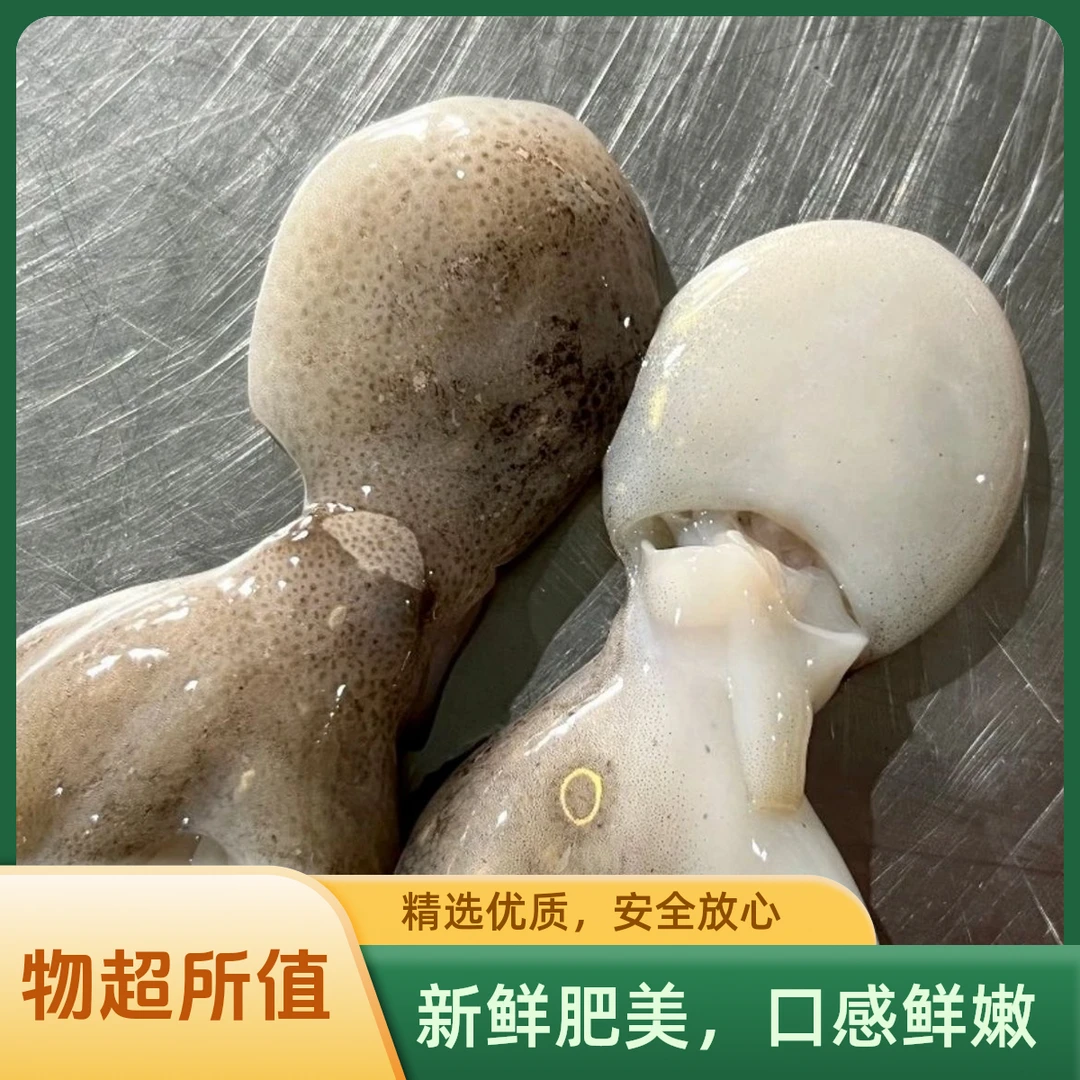 （褚老师专属）盐磨八爪鱼新鲜加工去内脏去牙250克/包 6包3斤