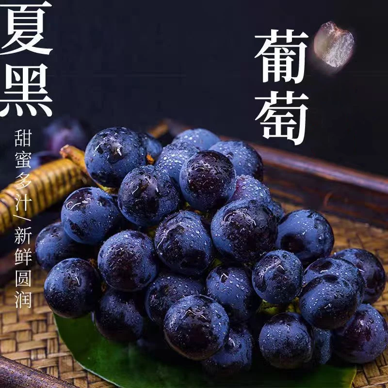 巨峰夏黑葡萄无籽黑提新鲜当季南方精品高端水果超甜颗粒饱满整箱