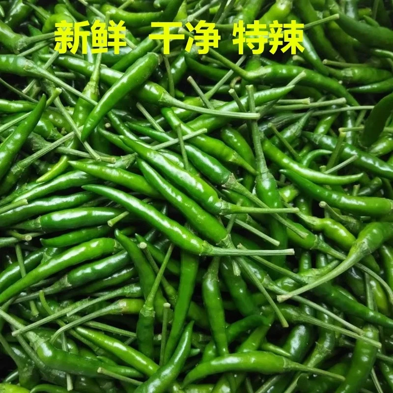 产地直发新鲜青辣椒小米辣椒朝天剁椒红线椒指天椒特辣泡椒尖椒