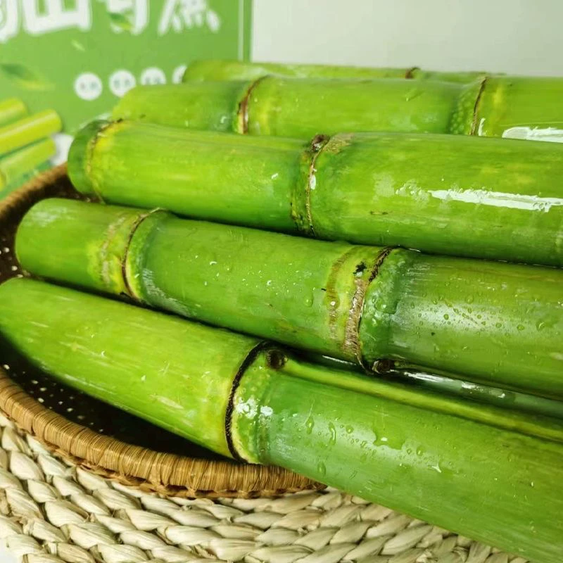 水果甘蔗青皮孕妇水果新鲜农家现砍现发应季水果陶山甘蔗3斤5斤装