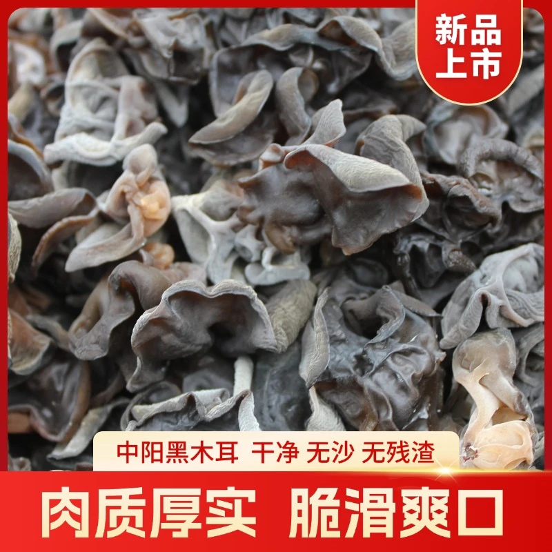 【到手554克】头茬中阳秋木耳肉厚无根无沙山西特产干货美味爽口